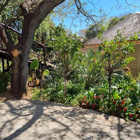 Airport Inn Bed And Breakfast Kempton Park Exterior photo
